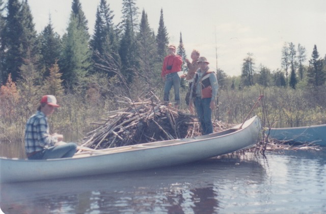 Beaver Dam 85