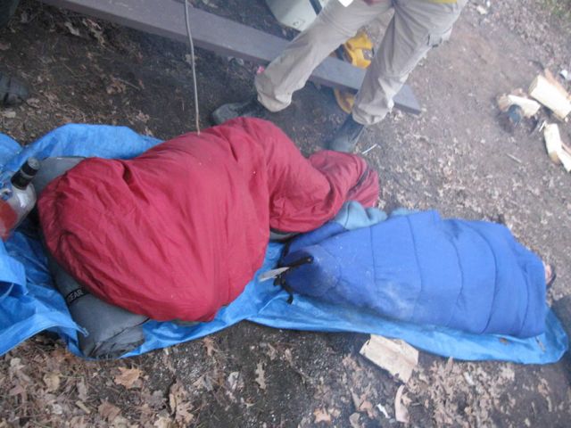 Dan and Duck finding a great? place to sleep