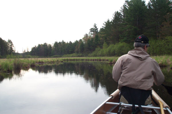 Stevenson in high water above beaver dam (04)