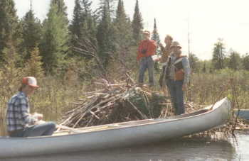 Dave S, Boyd, Ship, and Allen (1985)